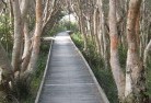 St Andrews NSWsustainable-landscaping-14.jpg; ?>