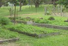 St Andrews NSWsustainable-landscaping-19.jpg; ?>