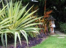 Kwikfynd Tropical Landscaping
standrewsnsw